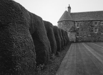 Detail of yew topiary looking towards the east wing of the house.