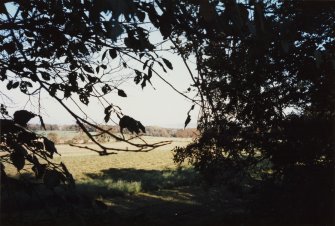 Dalmahoy estate
View of the Southern fields - cropped