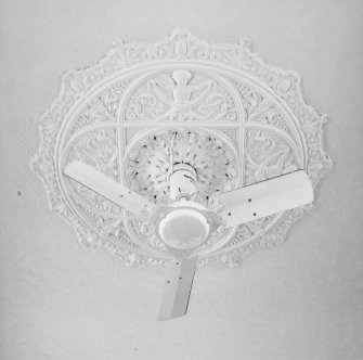 Interior - council chamber, detail of ceiling rose