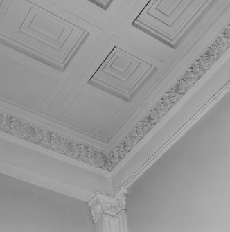 Ground floor, entrance hall, ceiling, cornice and pilaster, detail