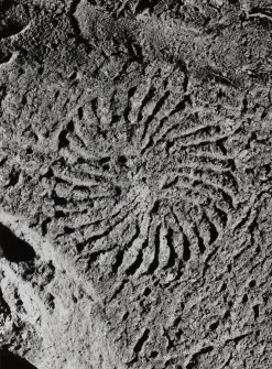 Detail of incised carving over window at E end of S wall.