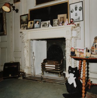 Interior.
Detail of the fireplace in the White bedroom.