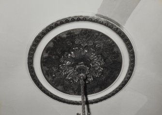 Glasgow, 3 Park Terrace, interior
Detail of ceiling rose in first floor South room.