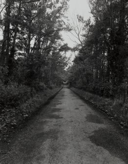 Approach avenue. View from SE