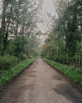 Approach avenue. View from SE