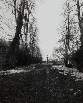 View from SSE showing the gatepiers terminating the avenue