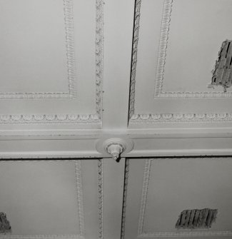 Detail of ground floor room ceiling.