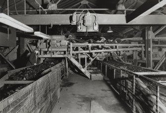 Newtongrange, Lady Victoria Colliery. 
Interior. Pithead. General view of picking tables.