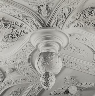 Interior.
Detail of central pendant on Sea Room ceiling.