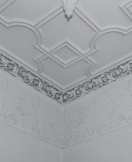 Interior. Detail of cornice