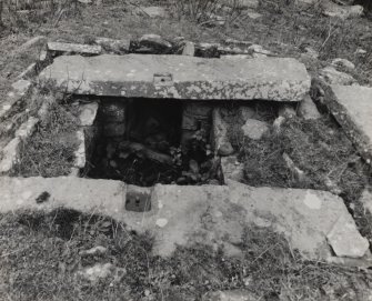 Detail of 'horse-gang' adjacent to later range of farm buildings, showing interior of gear pit.