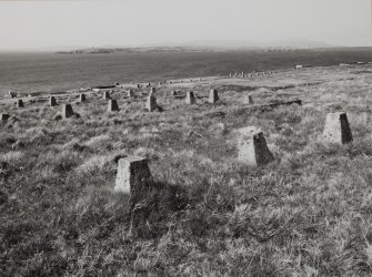 View of hut bases from East