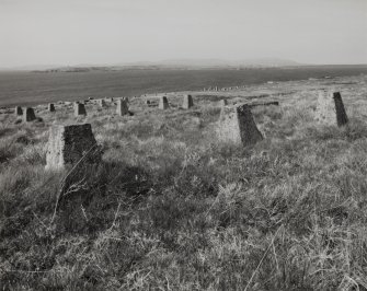 View of hut bases from East