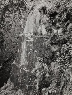 Ardmaddy Castle, Marble Quarry.
General detail.