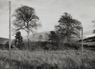 Ballimeanoch Motte, Strathcur.
General view from West.