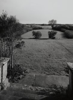 View from entrance looking South.