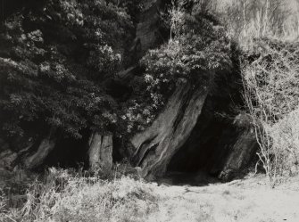 St Columba's Cave.
View of cave mouth.