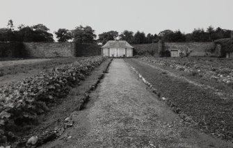 Castle Toward, Walled Garden.
View of East walled garden from South.