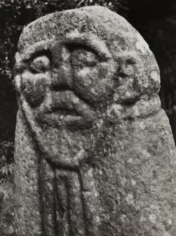 Riasg Bhuidhe, detail of head