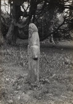 Colonsay, Riasg Buidhe.
View of well-head showing side view of early cross-shaped stone with 'head'.