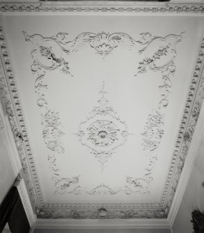 Inverarary Castle, interior.
General view of ceiling of private drawing room.