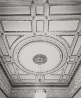 Glasgow, 6 Rowan Road, Craigie Hall, interior.
View of ceiling in North apartment on ground floor.