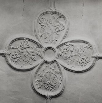Dunderave Castle, interior.
Detail of Library ceiling on first floor of South East range.