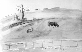 Photographic copy of watercolour showing cows in field.