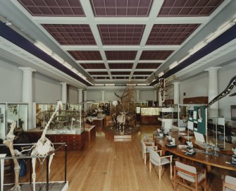 Interior
View of museum/study area from N.