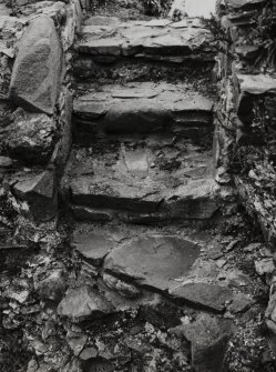 Fraoch Eilean Castle, interior.
Detail of mural staircase.