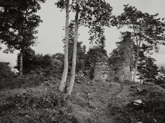 Fraoch Eilean Castle.
General view from South-West.