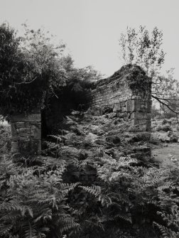 Furnace, Loch Fyne Powder Works, watch house.
General view from East of ruins of barrel vaulted building in South portion of site.