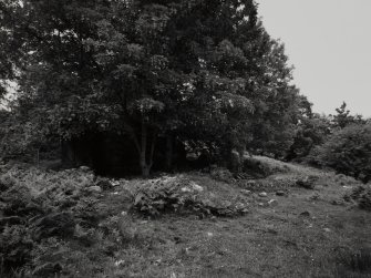 Furnace, Loch Fyne Powder Works, watch house.
General view from South-West of ruins of glazing house towards West corner of site.