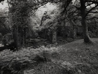 Furnace, Loch Fyne Powder Works.
View from North-West of 2 mill chambers (at North end of mills).