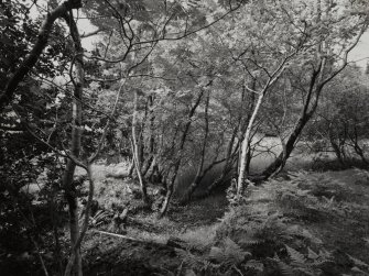 Furnace, Loch Fyne Powder Works.
View of mill pond and lade from South.