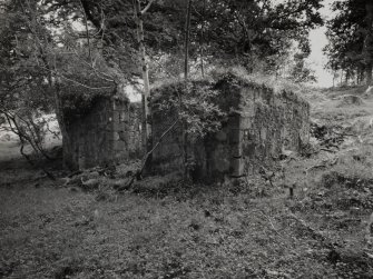 Furnace, Loch Fyne Powder Works.
View from North-East of ruins of pink granite rubble building to South of pond.