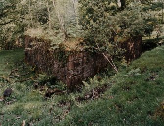Furnace, Loch Fyne Powder Works.
View from North-West of ruins of pink granite rubble building to South of pond.