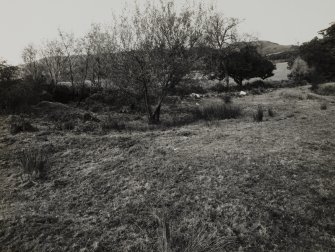 View from E of depression/ crater towards S corner of site, the possible site of the fatal explosion of 1883, which ended production at the works, photographed 28 October 1993