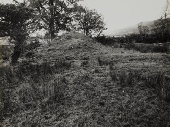 View of mound of masonry rubble at S end of site from NE, photographed 28 October 1993