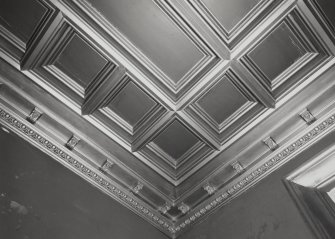 Interior. Drawing room, detail of ceiling
