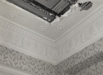 Interior.
Detail of cornice in first floor South-West room - original drawing room.