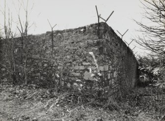 Strathleven House, Stables and Coach House.
View from North North East of garden walls.