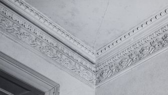 Interior.
Detail of cornice.