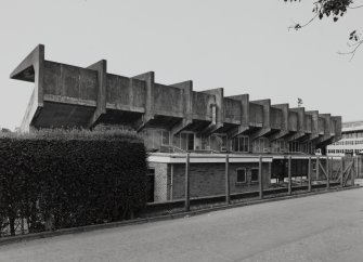 View from NE showing rear of stand.