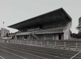 View from SE of stand.