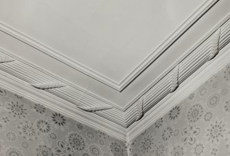 Interior.
Detail of cornice in no. 101 High Street.