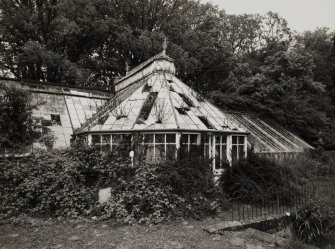 View of greenhouse from S.