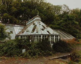 View of greenhouse from S.