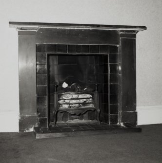 Ground floor, entrance hall, fireplace, detail