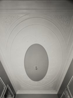 Interior.
Detail of billiard room ceiling.